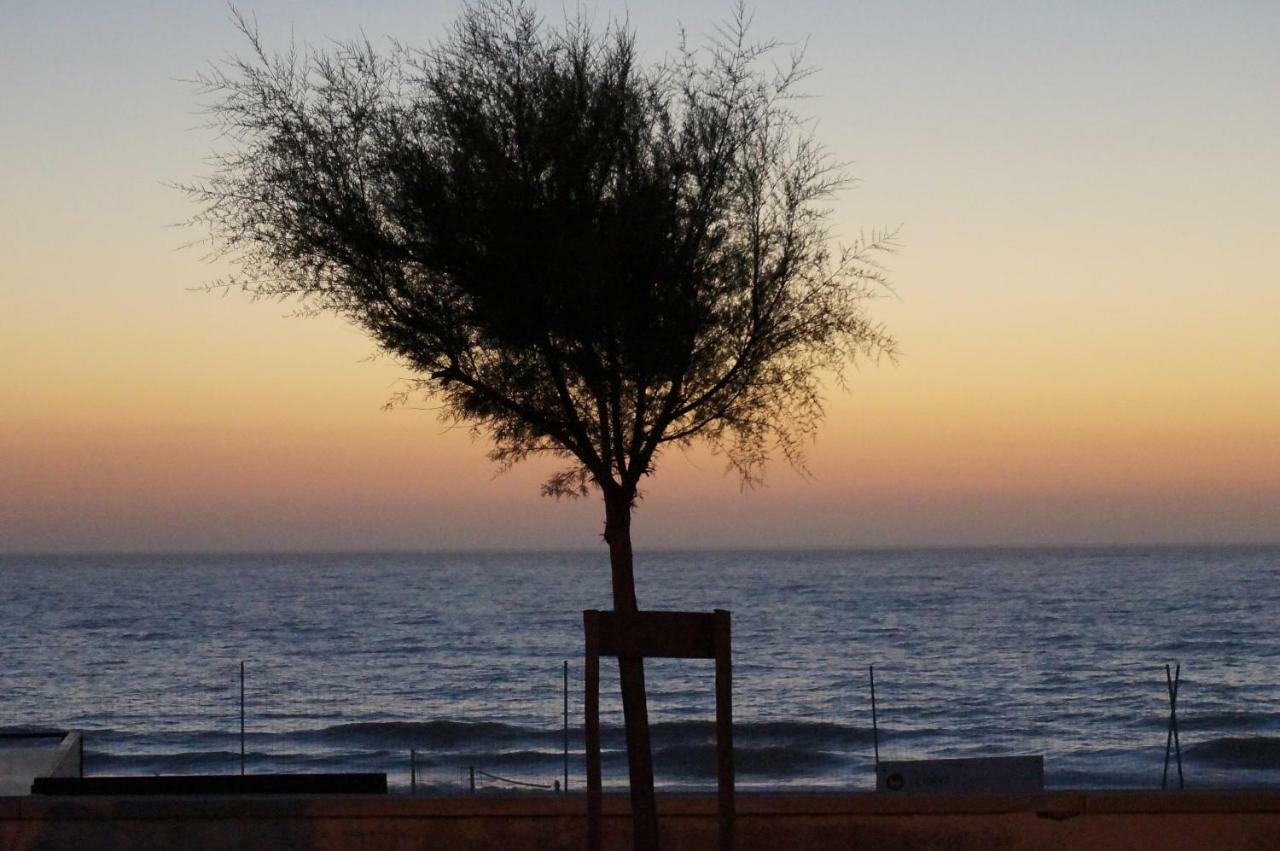פליירוס דה טושה Holiday House Tocha מראה חיצוני תמונה